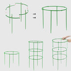 Growth Support System