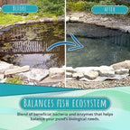 1+1 Free |  Algae Repellent Powder