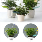 Mess-Free Watering Tool